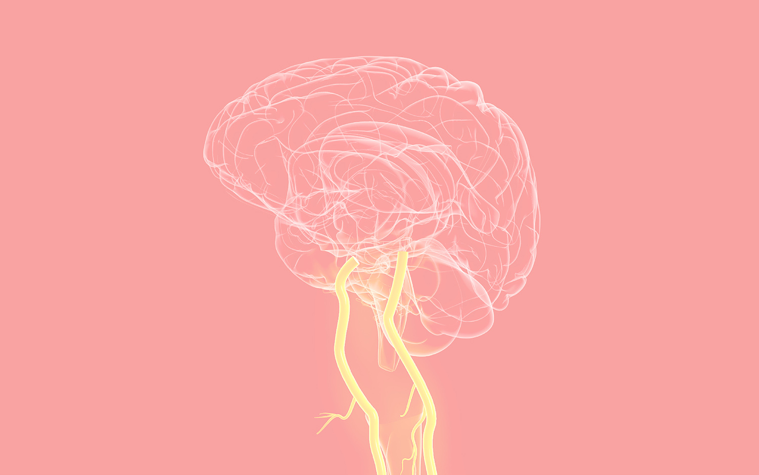 Neck Vagus Nerve