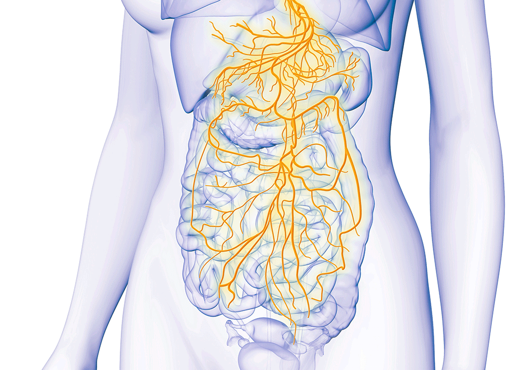 Neck Vagus Nerve